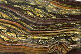 Polished Tiger Iron Stromatolite Slab - Billion Years #351885-1